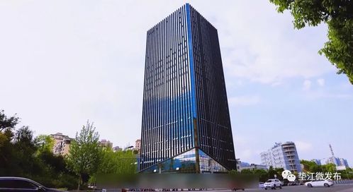 墊江 揚(yáng)帆啟航高新路，數(shù)字技術(shù)服務(wù)賦能縣域發(fā)展新篇章